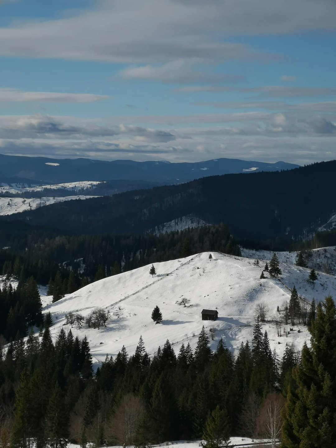 Travel Tips and Stories of Bucovina in Romania