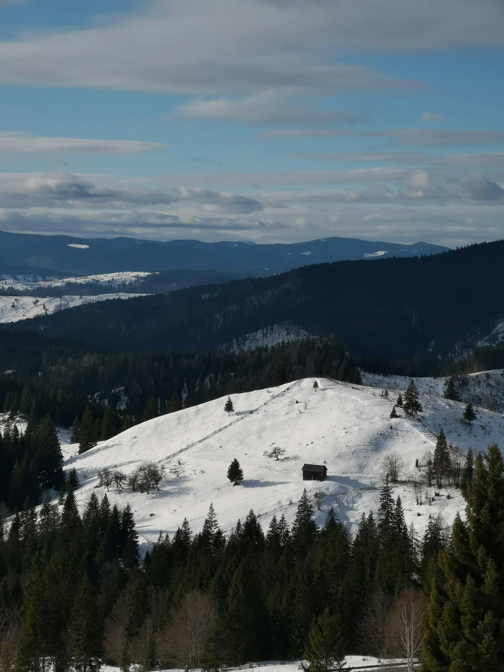 green trees on snow covered mountain during daytime