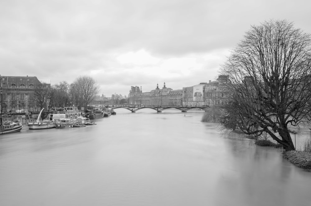 grayscale photo of river between trees and buildings