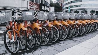 A row of rental bicycles with orange frames and silver baskets parked in an urban setting. The bikes are neatly aligned on a paved surface, with a backdrop of buildings and commercial signs.