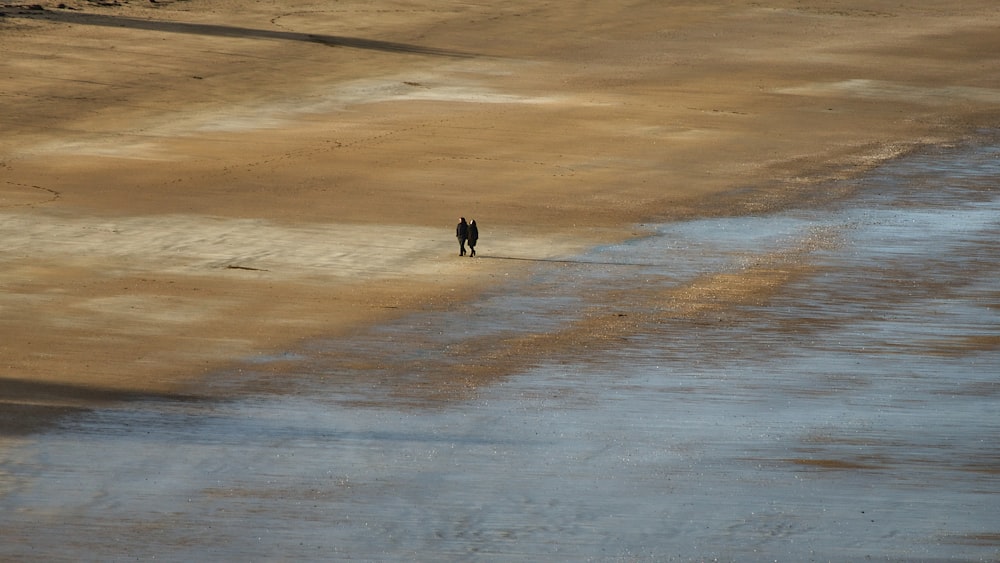 낮에 갈색 모래 위를 걷는 검은 재킷을 입은 사람