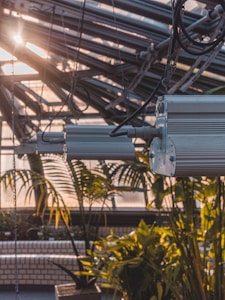 Essential Grow Room Equipment