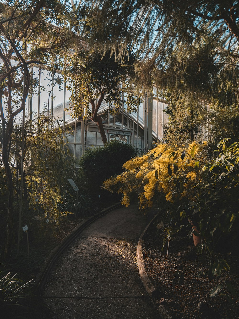 green and yellow leaf trees near white building during daytime