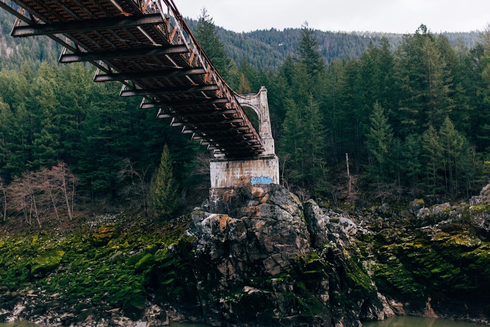 Pont en bois brun au-dessus d’arbres verts pendant la journée