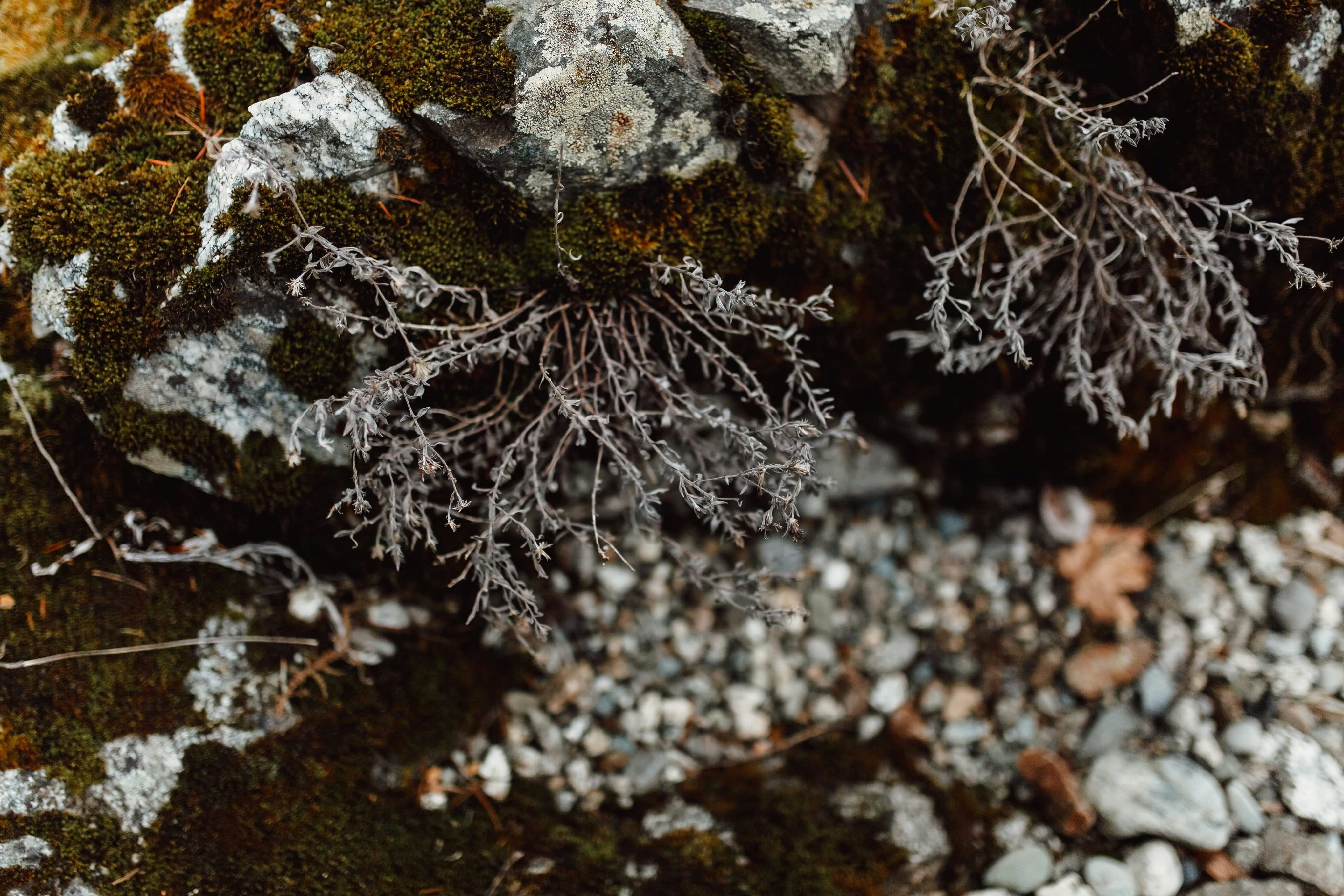 How Communication Challenges Impact Work for MS Patients