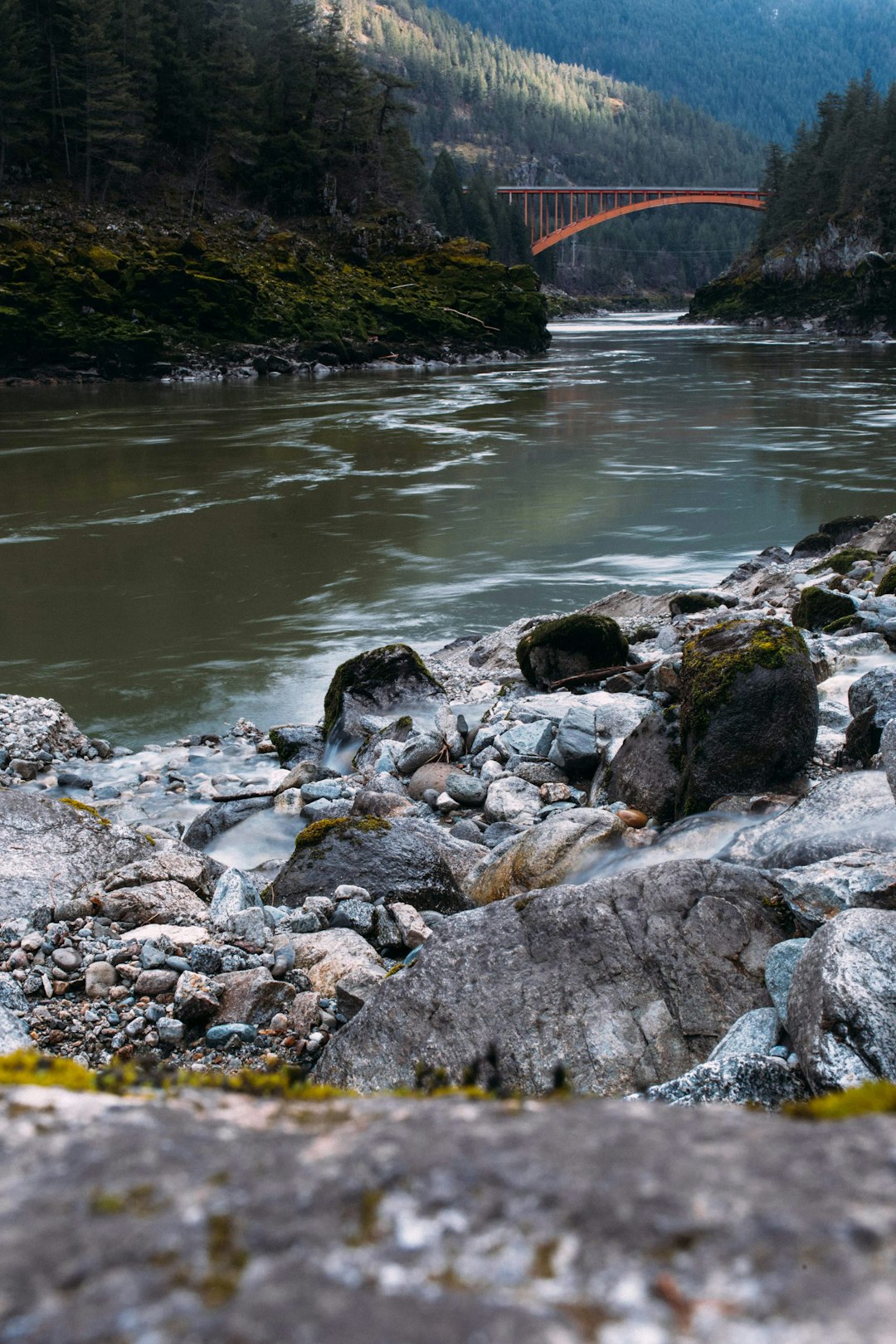 gray and black rocks on river during daytime