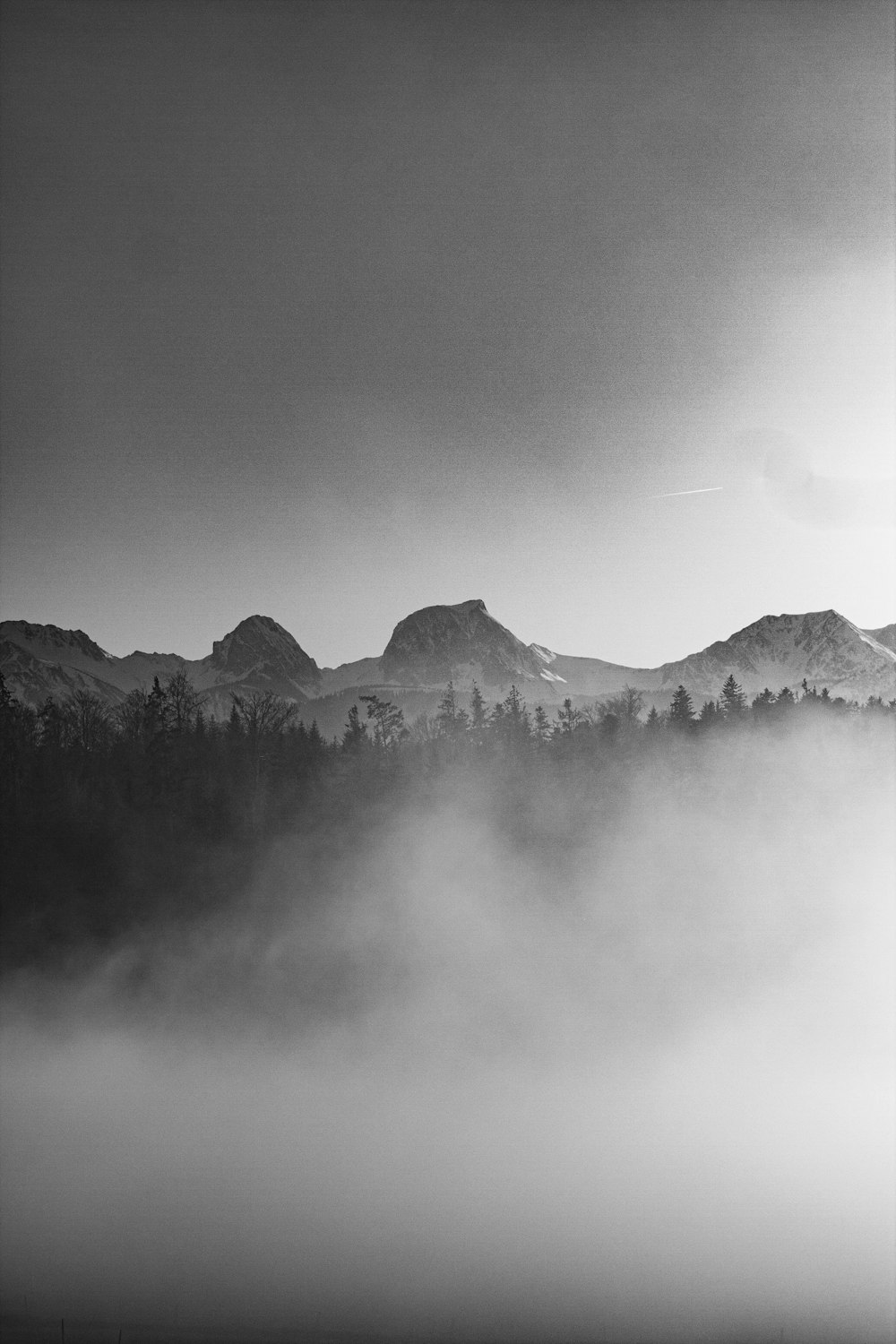 grayscale photo of mountains and trees