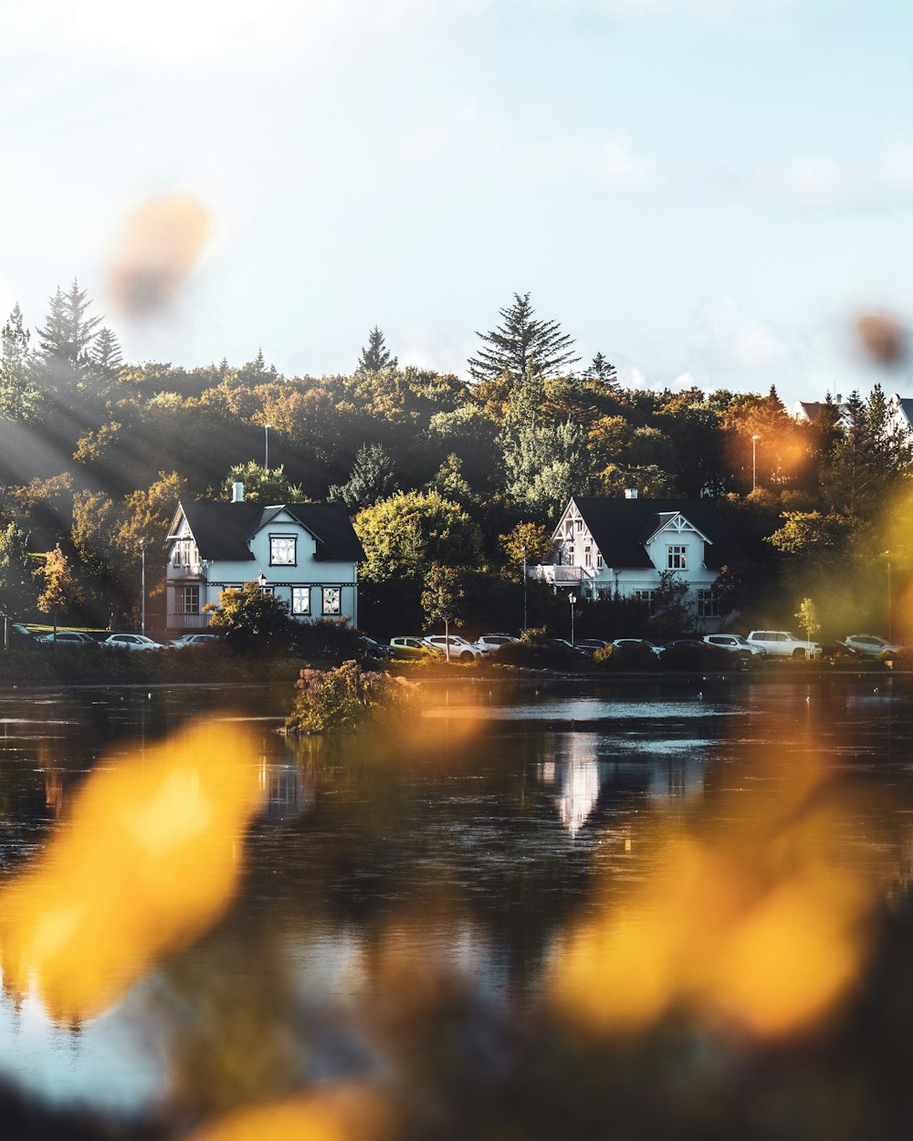 white and brown house near green trees and body of water during daytime