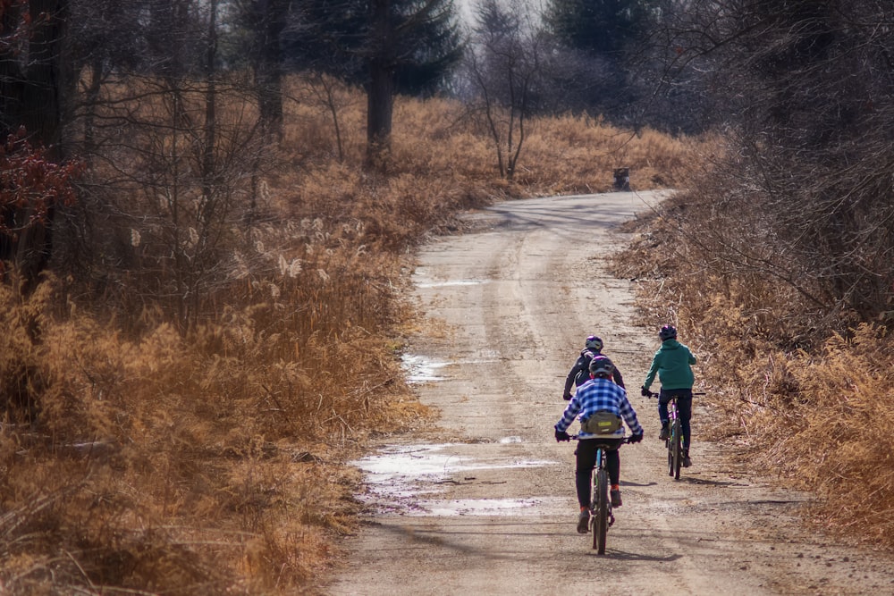 2 men riding bicycle on road during daytime