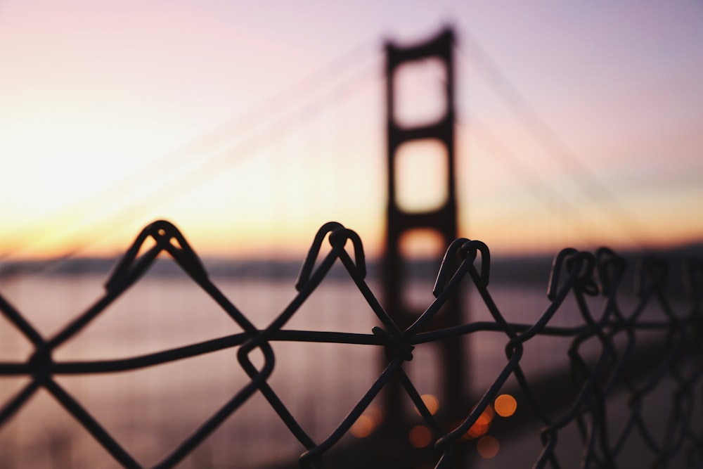 black metal fence during sunset