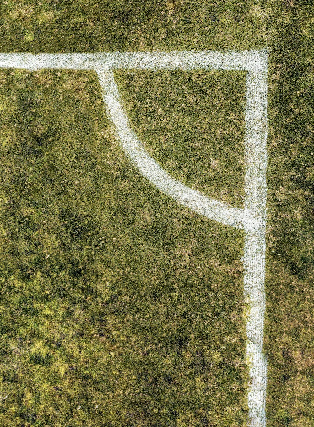 white line on green grass