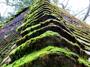 A close-up view of an old, moss-covered roof with multiple layers of shingles giving a layered, textured appearance. The vibrant green moss contrasts with the darker, weathered shingles and is interspersed with sections of rusted wire.