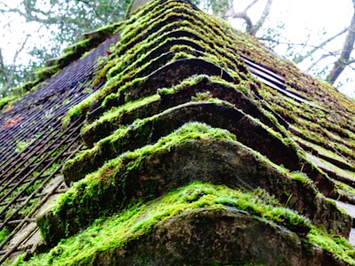 Before and after photos showing a roof in Lyon undergoing moss removal.