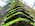 Close-up of a clean, moss-free roof after professional treatment.