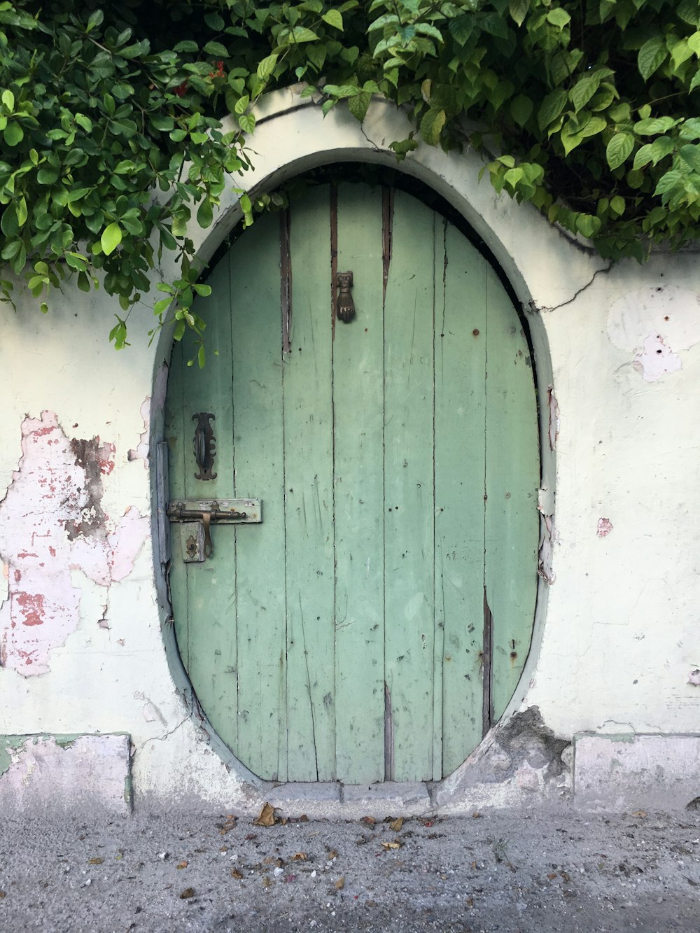 puerta de madera verde sobre pared de hormigón blanco