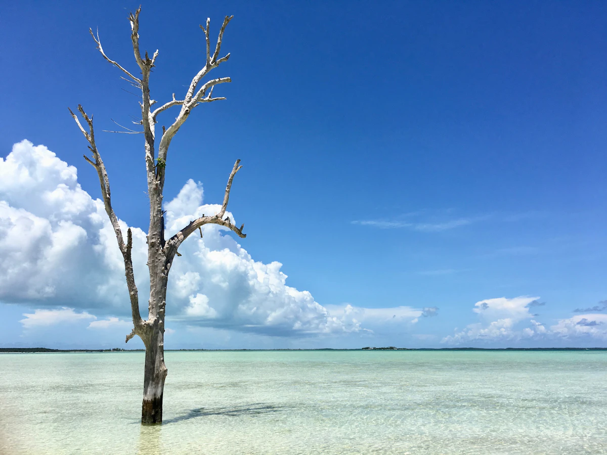 Harbour Island