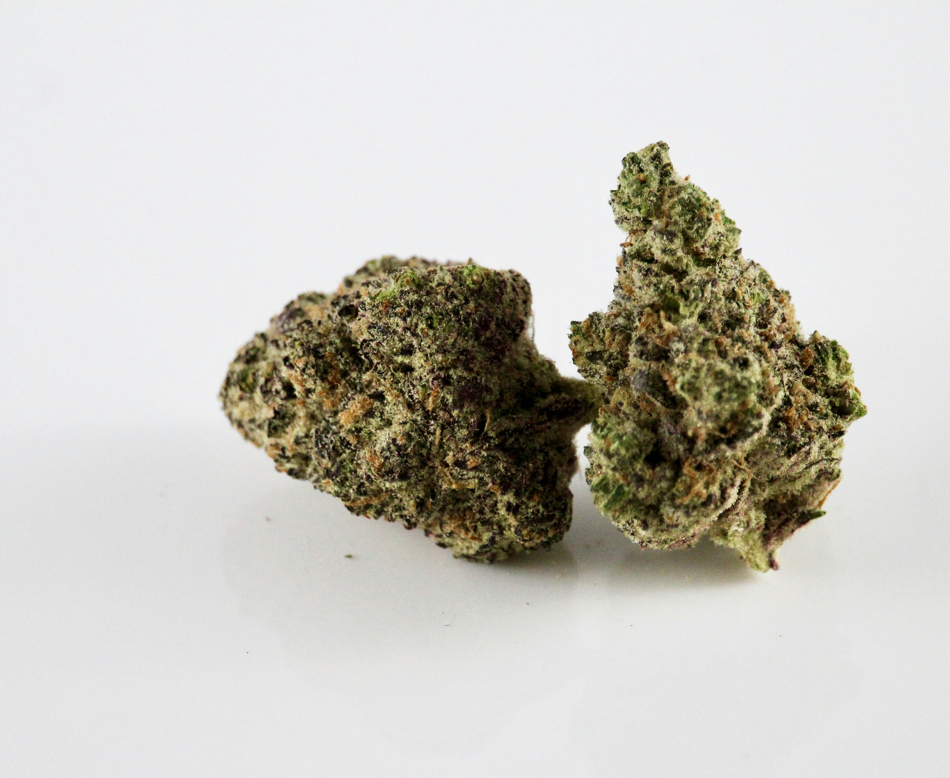 Herbal Wellness Tea Blend