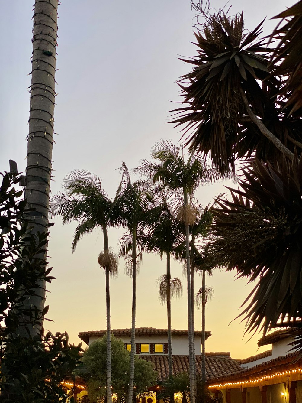 Free Building Image On Unsplash