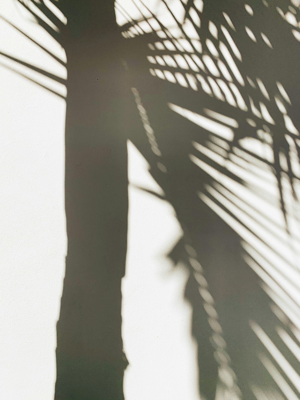 silhouette of person standing on window during daytime