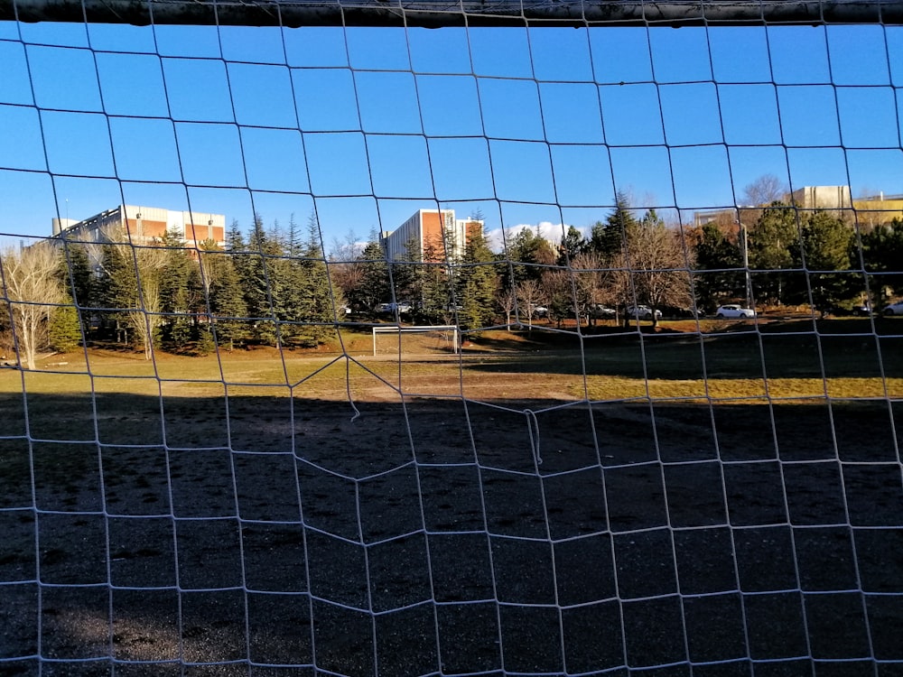 Arbres bruns et verts près d’un bâtiment brun pendant la journée