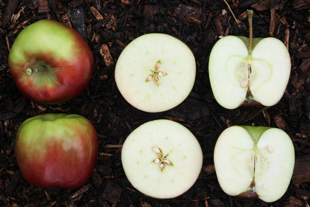 sliced apple fruit on ground