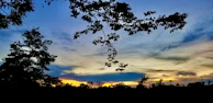Silhouette of a tree against a colorful sunset sky, peaceful and serene.