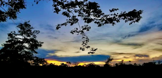 Silhouette of a tree against a colorful sunset sky, peaceful and serene.