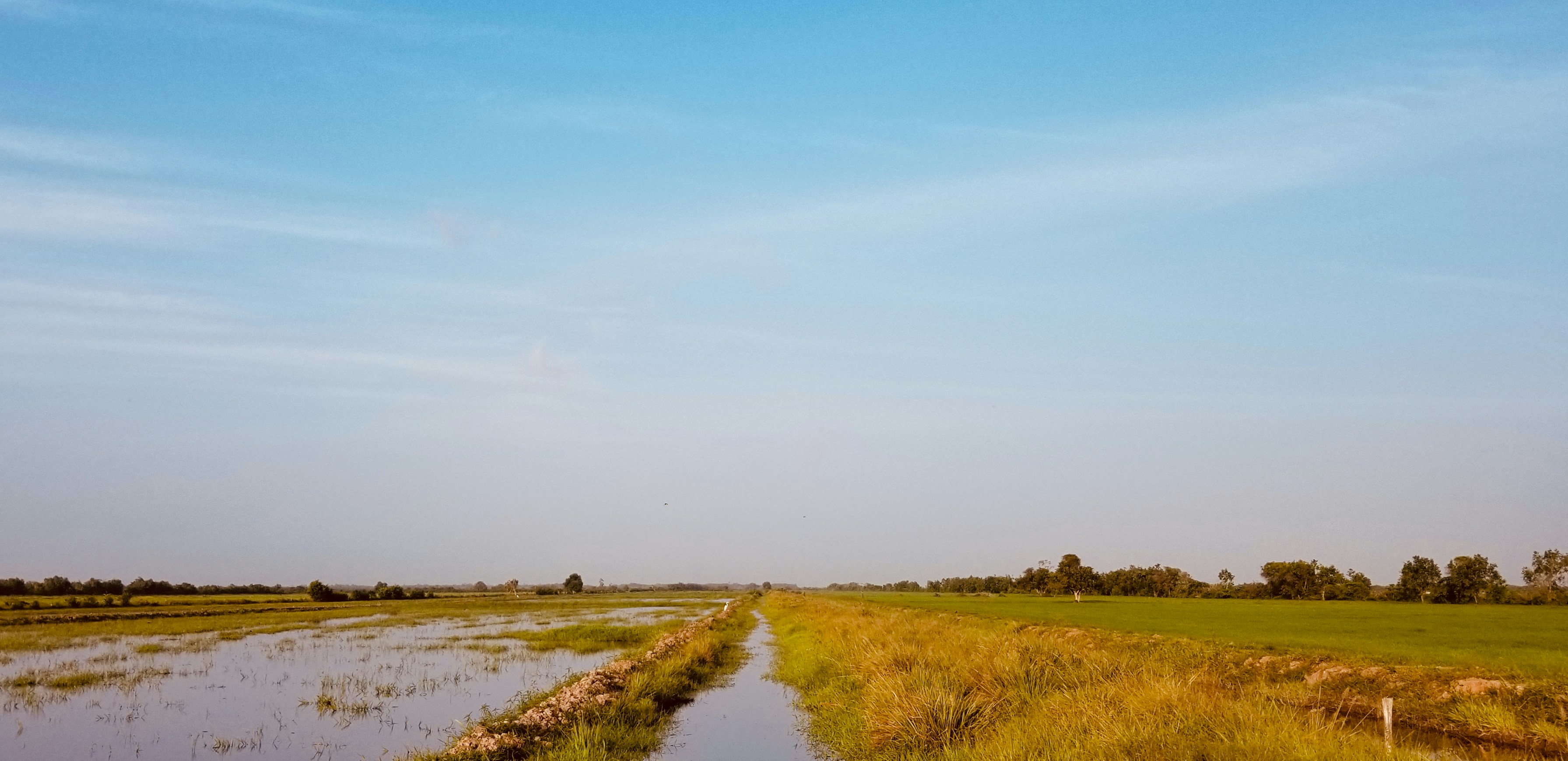 Photo by joshuagobin