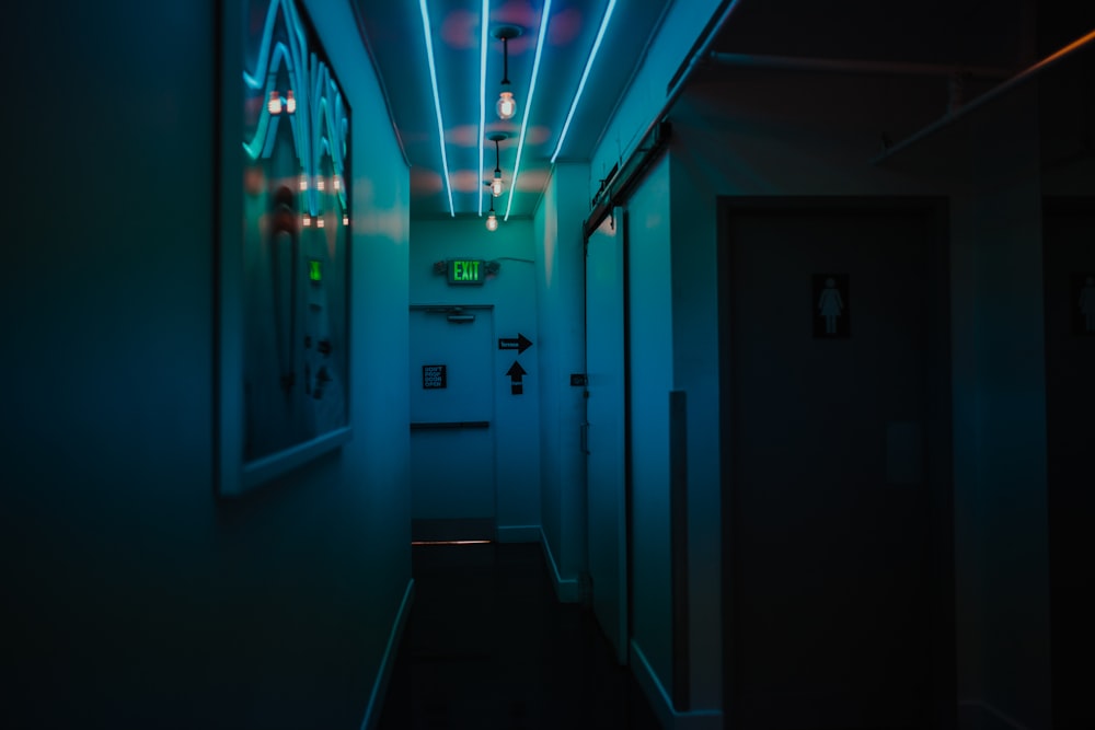 blue wooden doors in a dark room