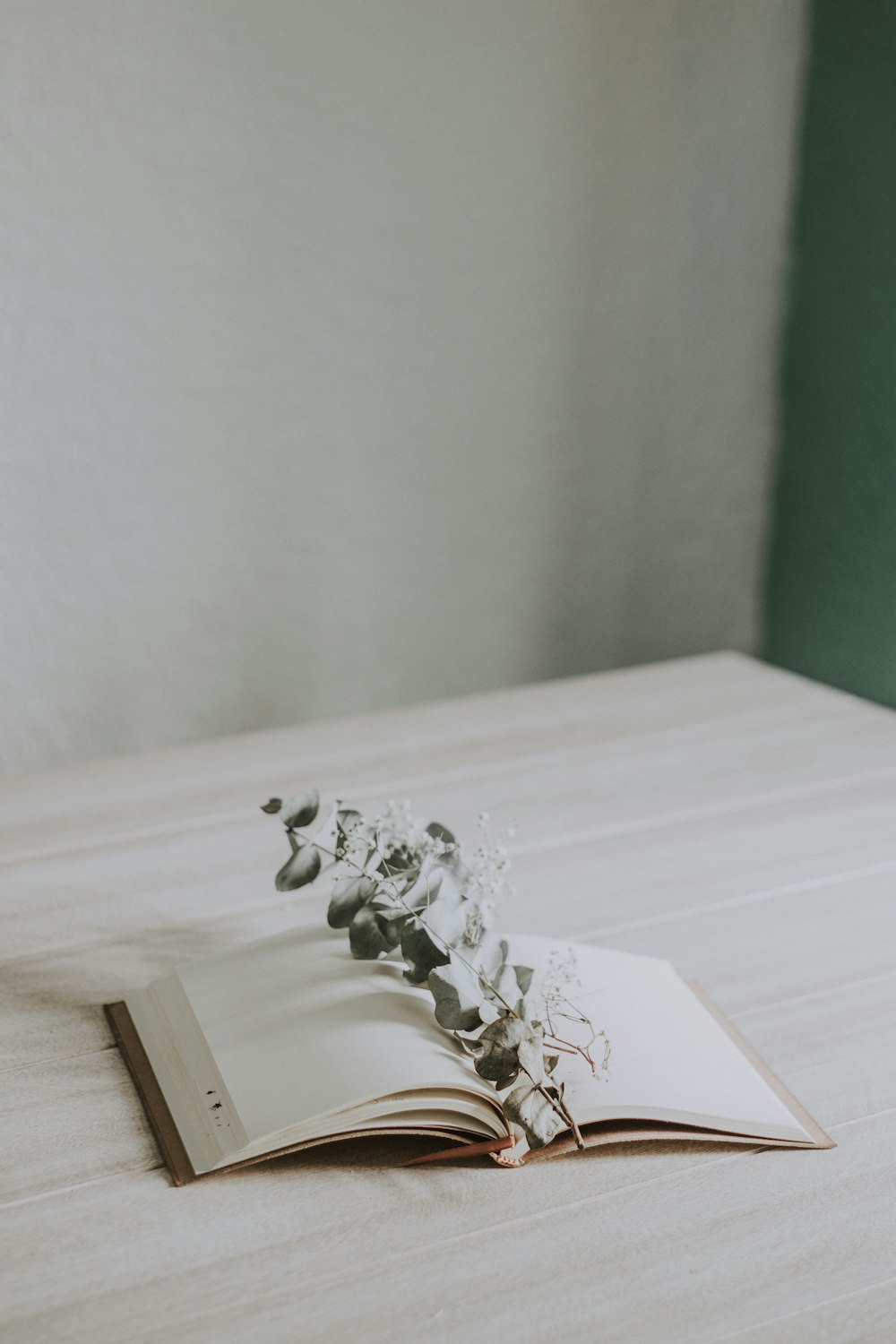 silver and diamond studded ring on white wooden table