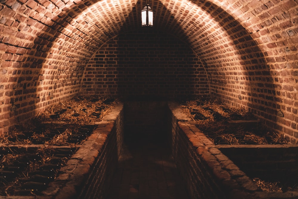 brown and black tunnel with brown and white leaves