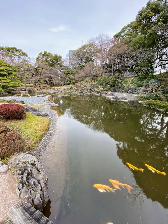 river between green grass and trees during daytime in The Imperial Palace Japan