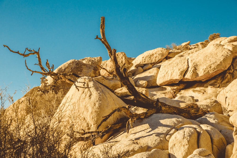 brown rock formation under blue sky during daytime