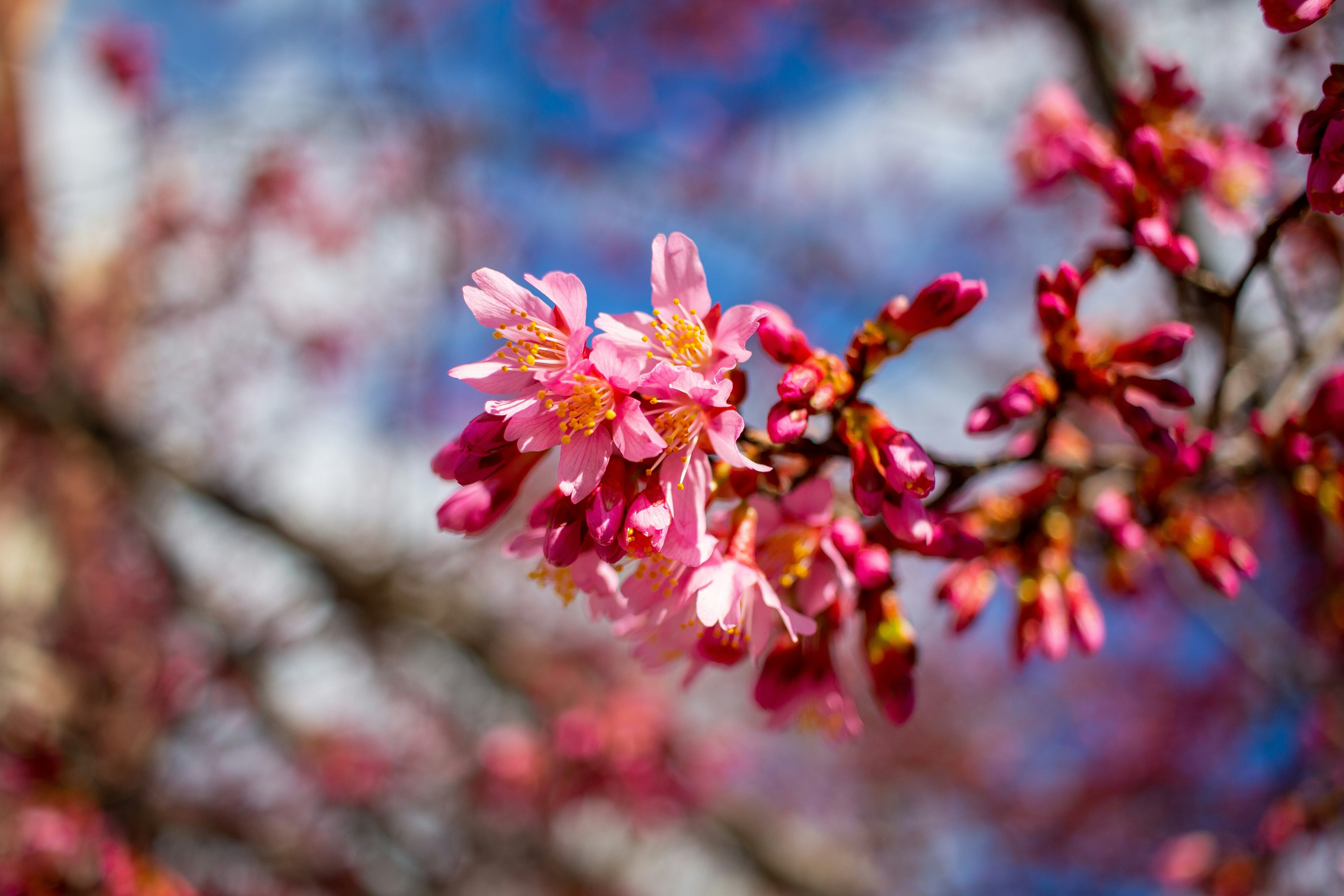 Photo by arielpineda36