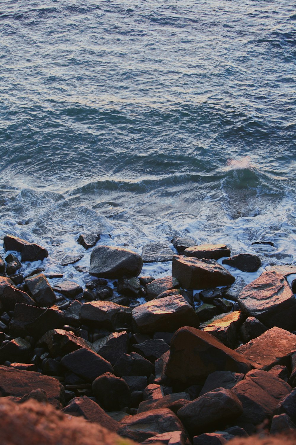 brown rocks near body of water during daytime