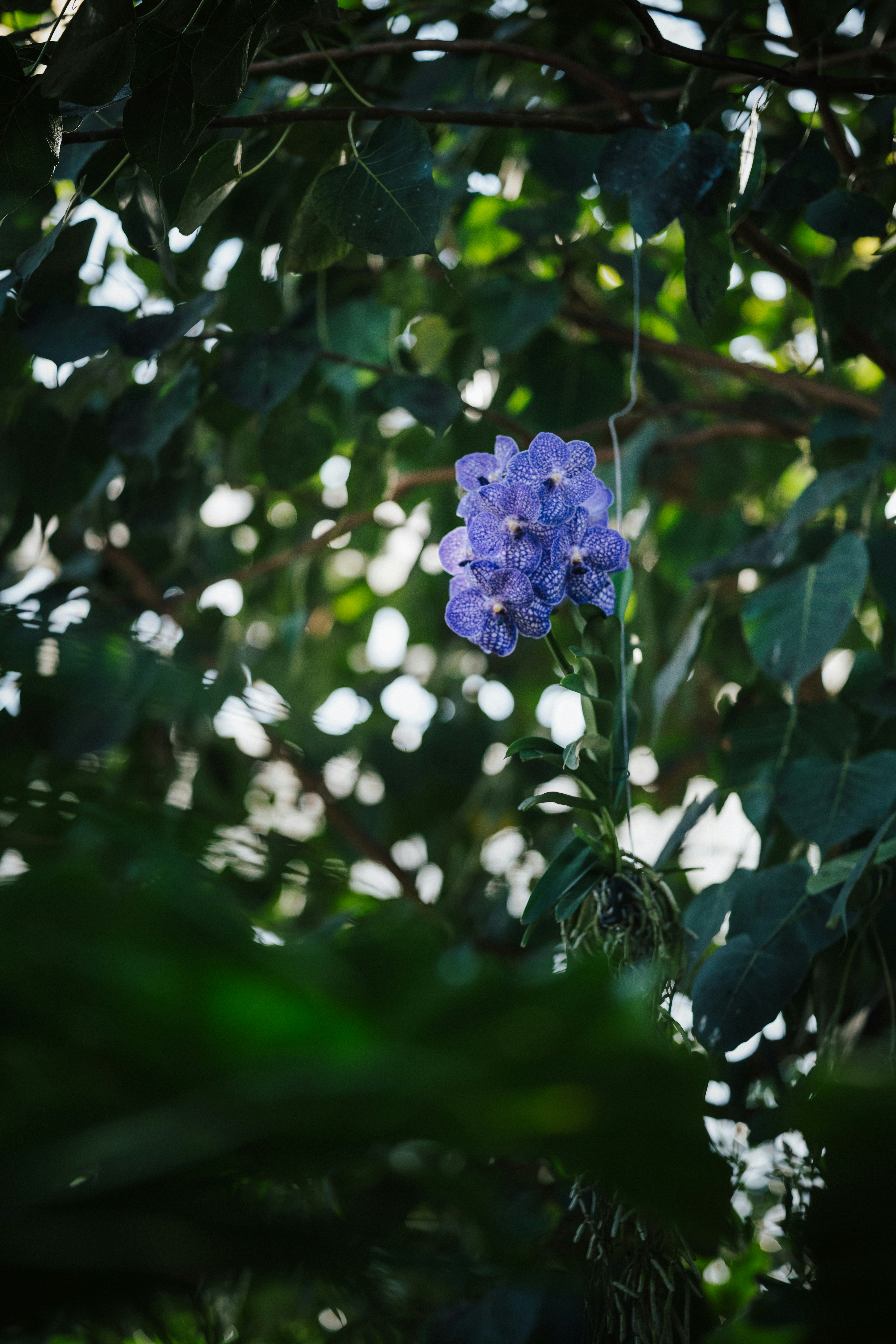 Photo by anniespratt