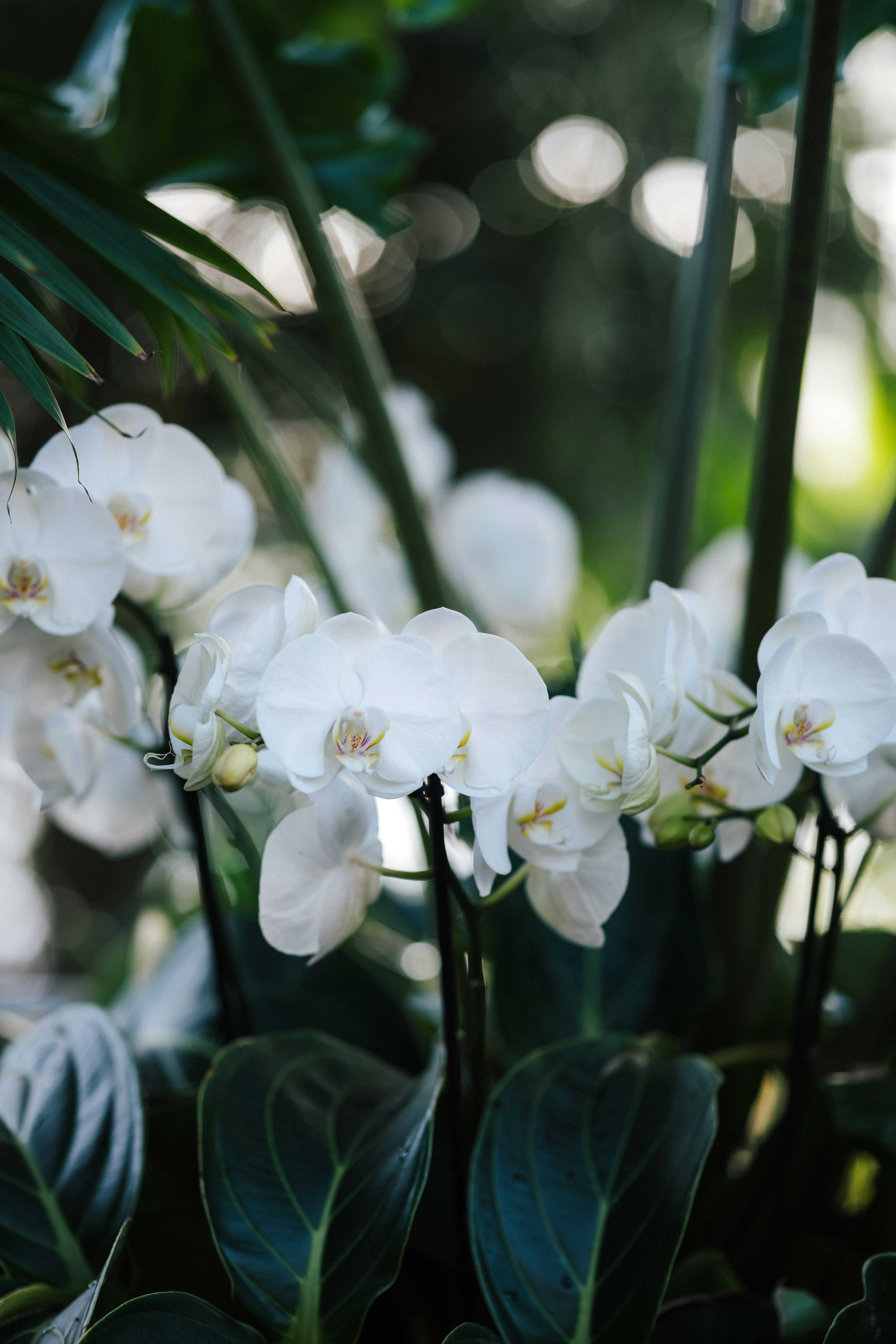 Photo by anniespratt