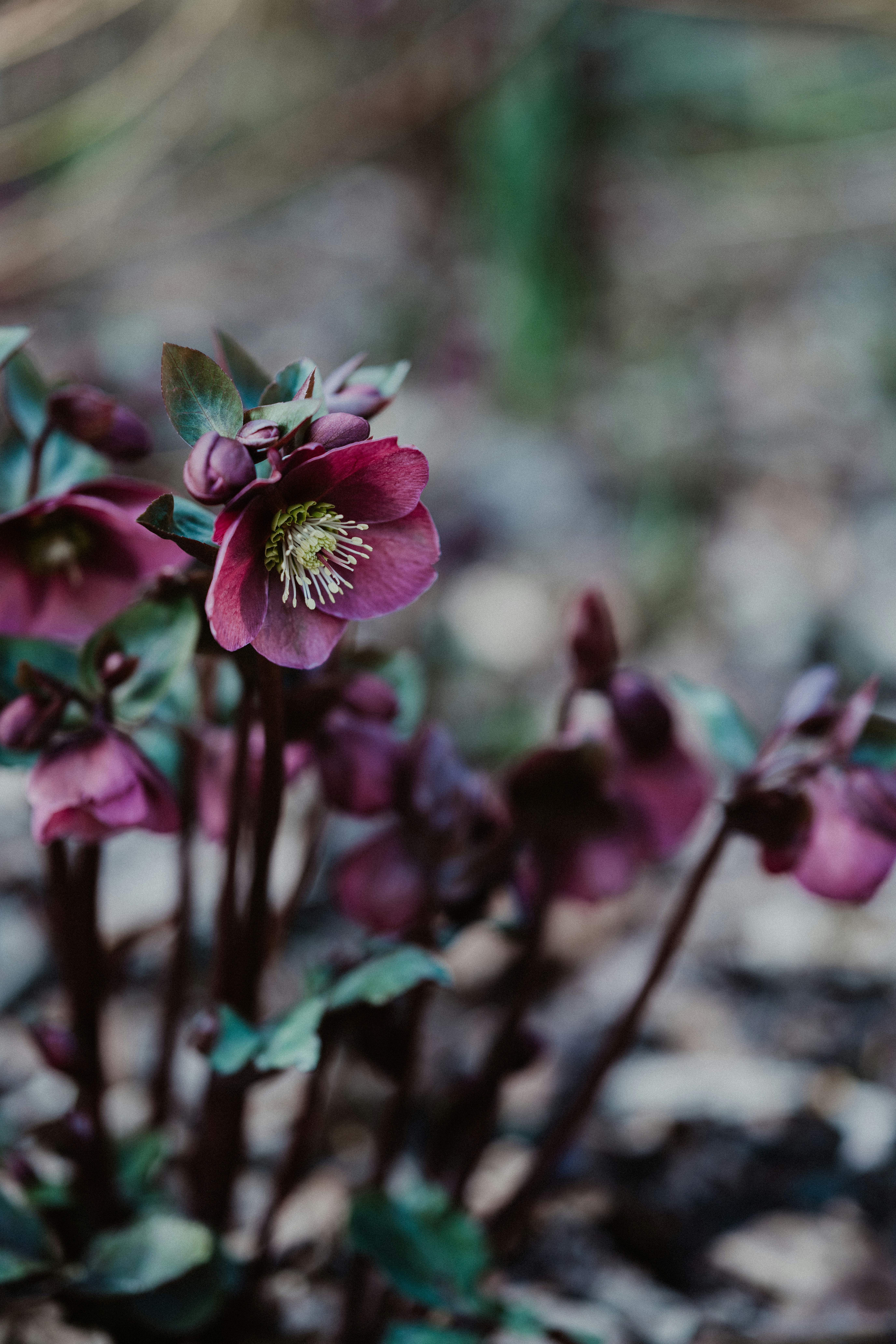 Photo by anniespratt