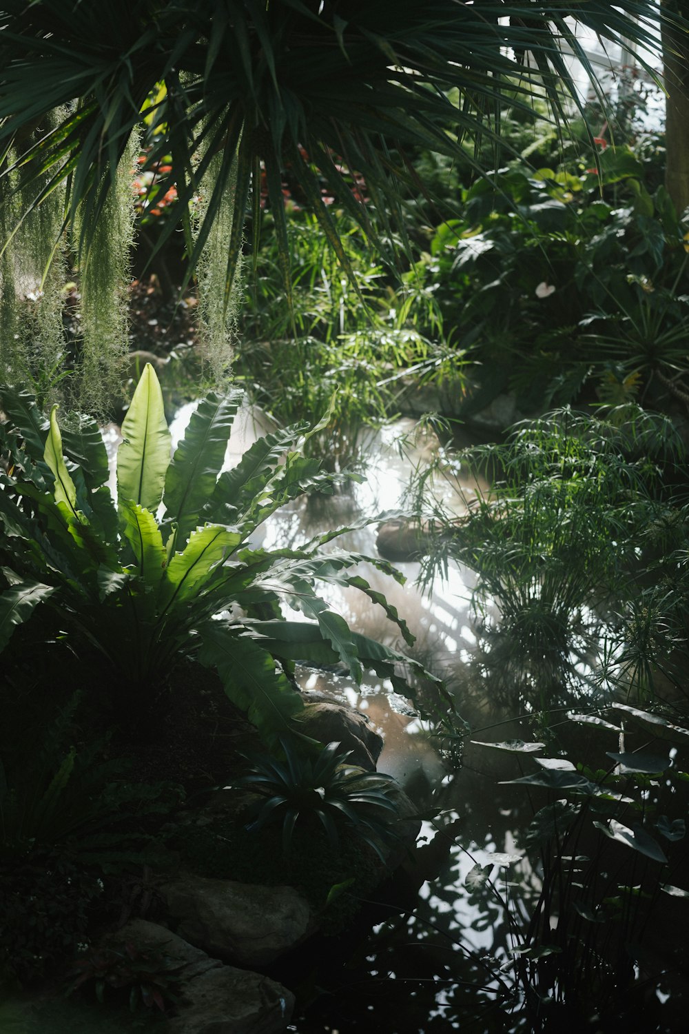 green leaf plant during daytime