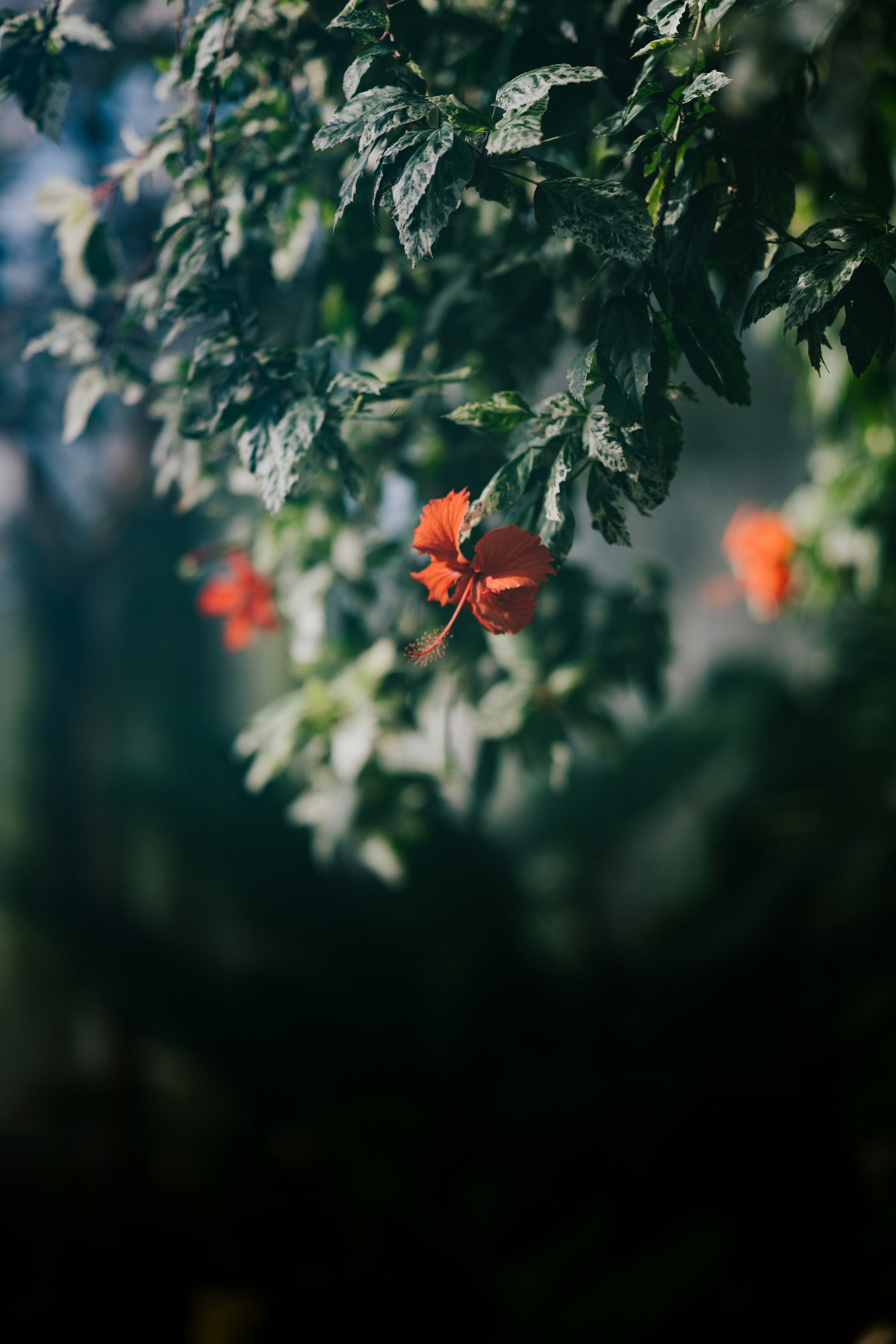 Photo by anniespratt