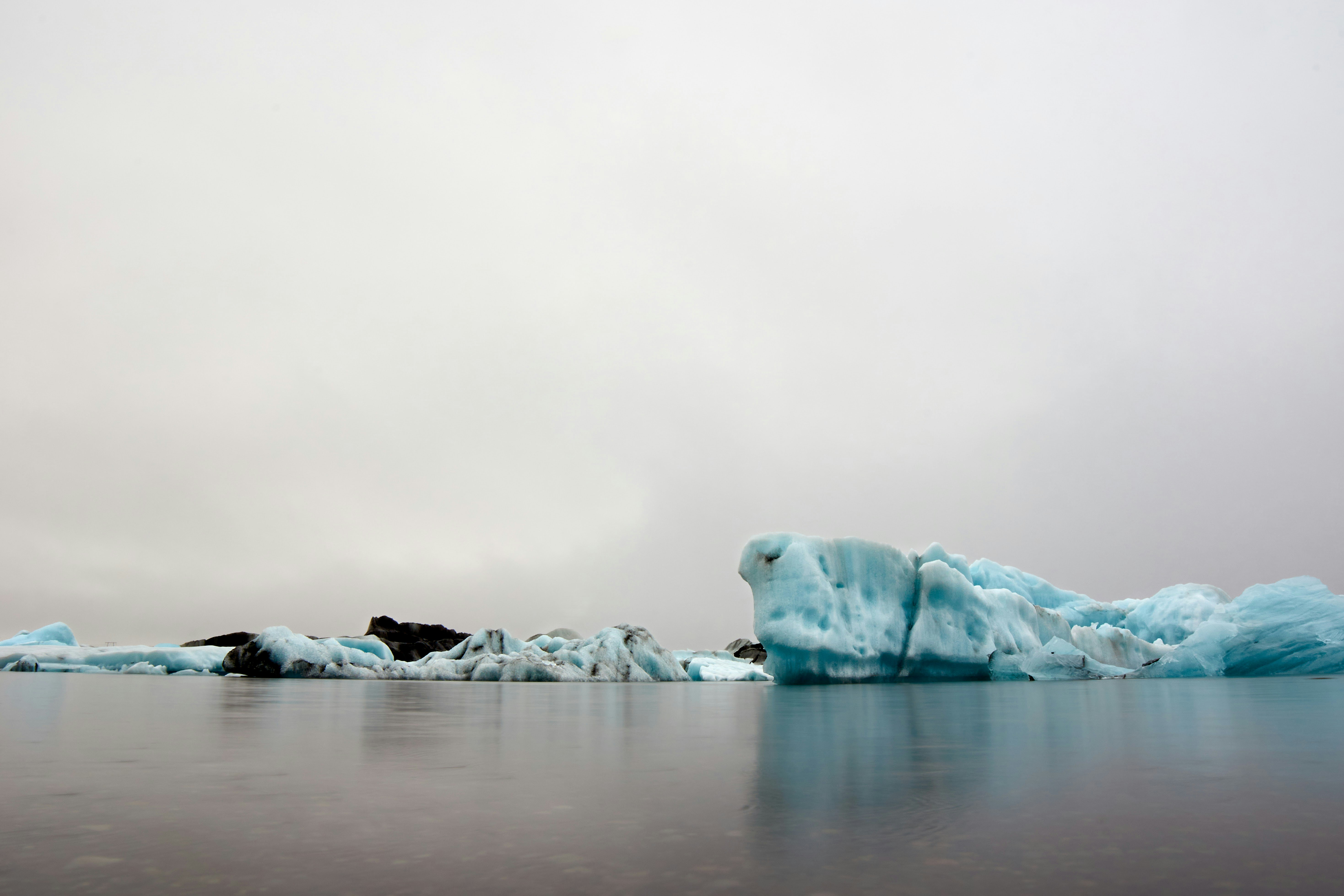 Photo by wolfgang_hasselmann