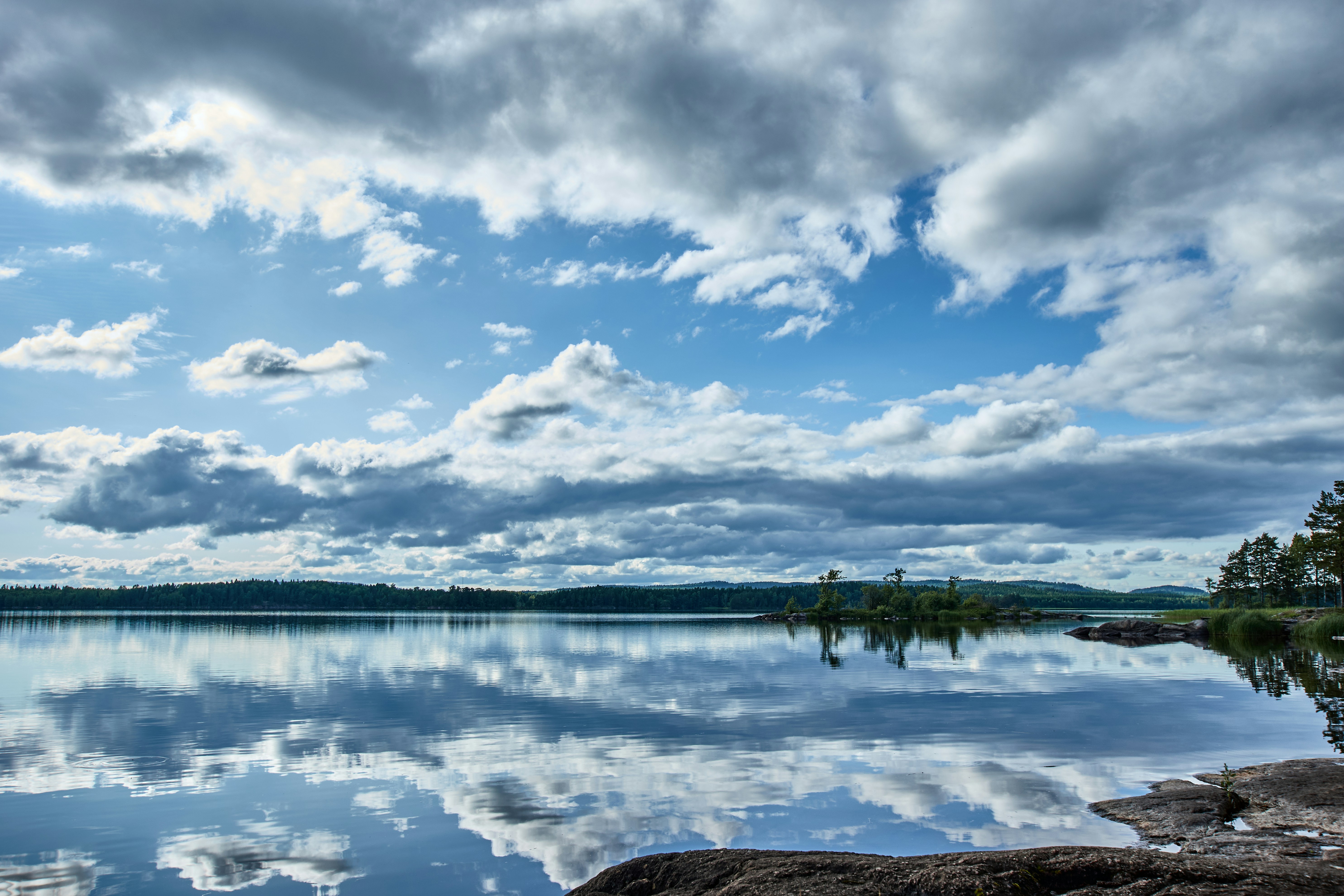 Photo by wolfgang_hasselmann