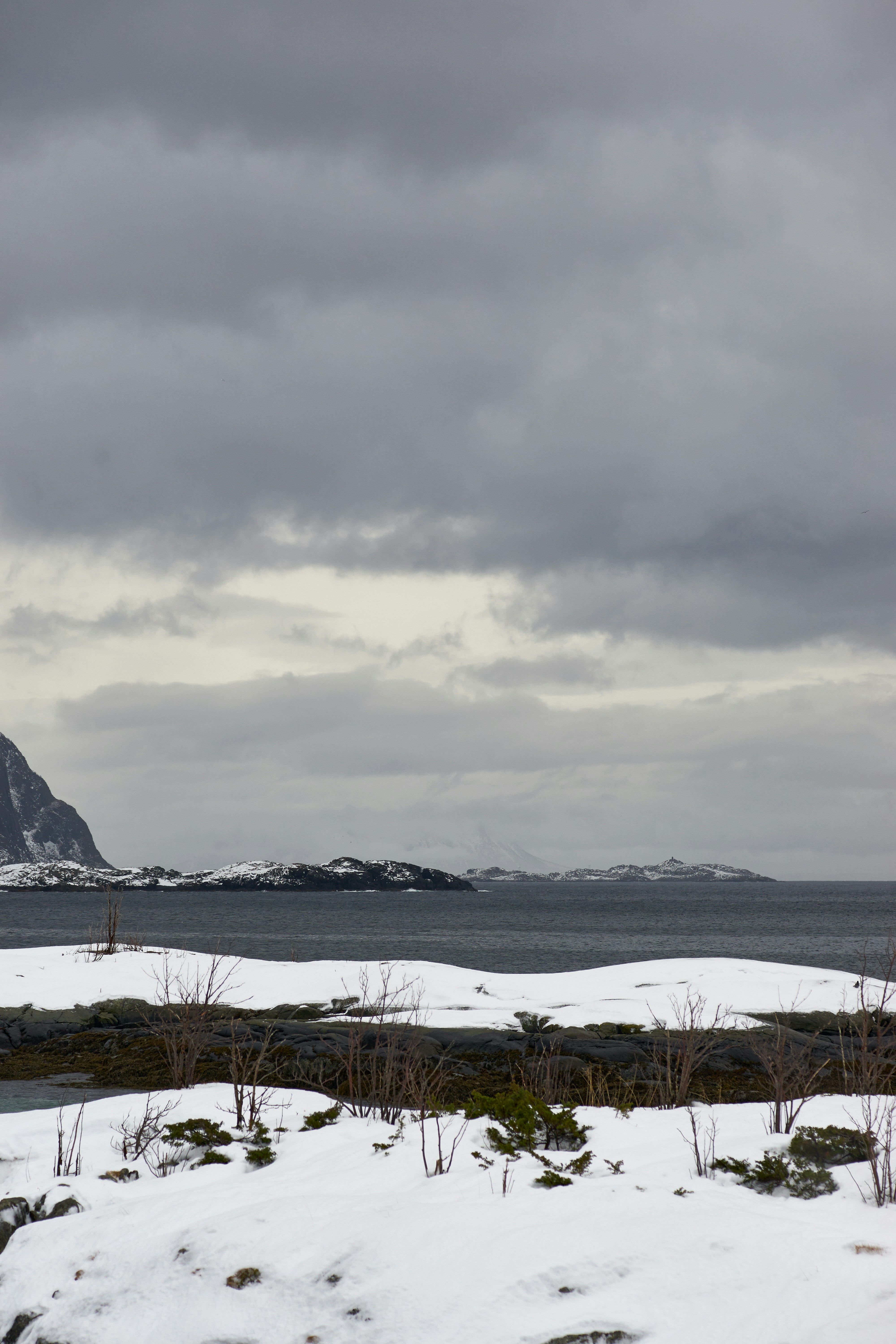 Photo by wolfgang_hasselmann