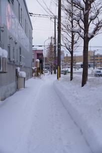 Sidewalk and pathway in a residential area cleared neatly after a snowfall.
