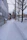 A commercial property with clear walkways after snow removal, showing clean and safe access.