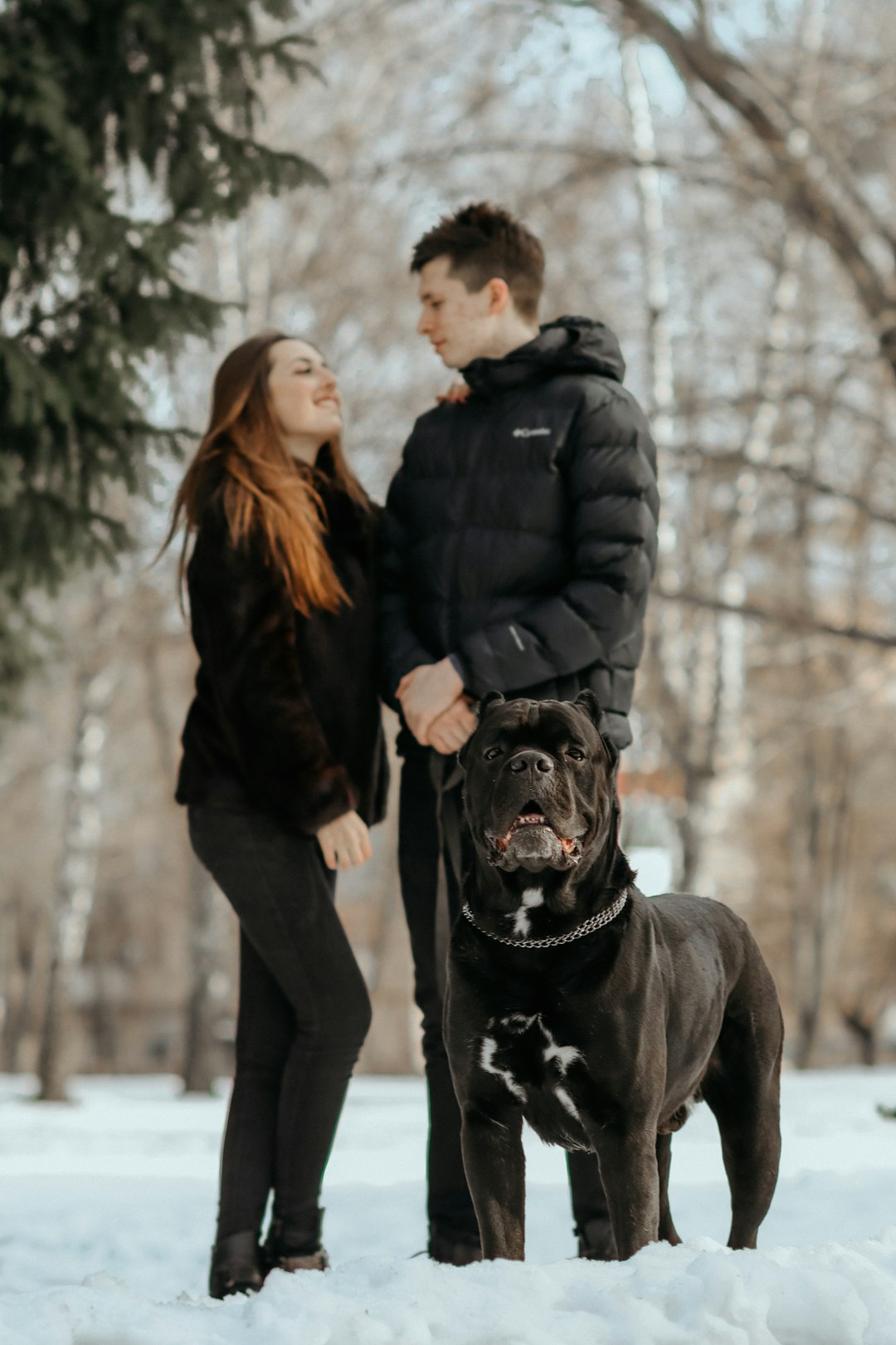 woman in black jacket standing beside black short coated dog during daytime