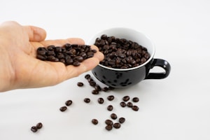 Davia Coffee Scoop