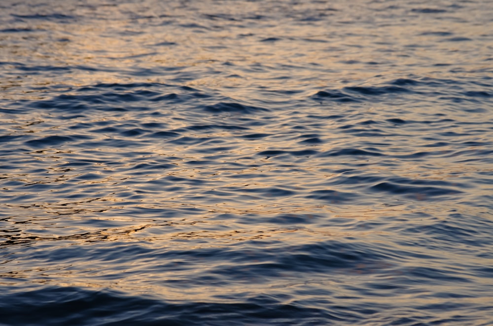 body of water during daytime