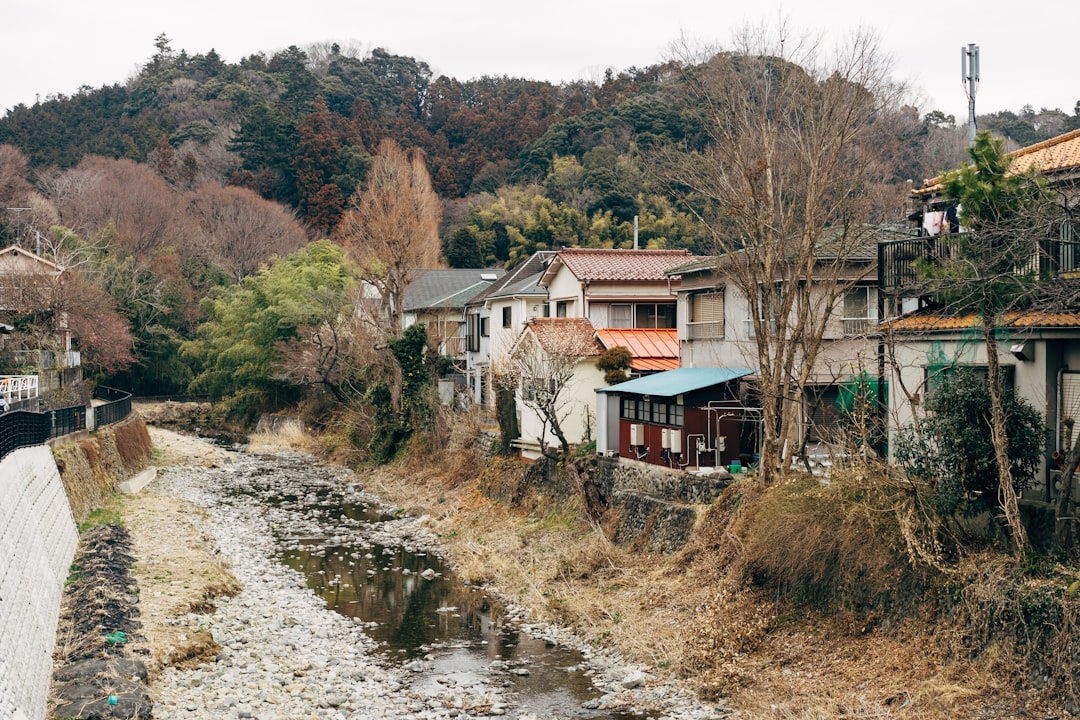 Hill station photo spot Takao Fuji