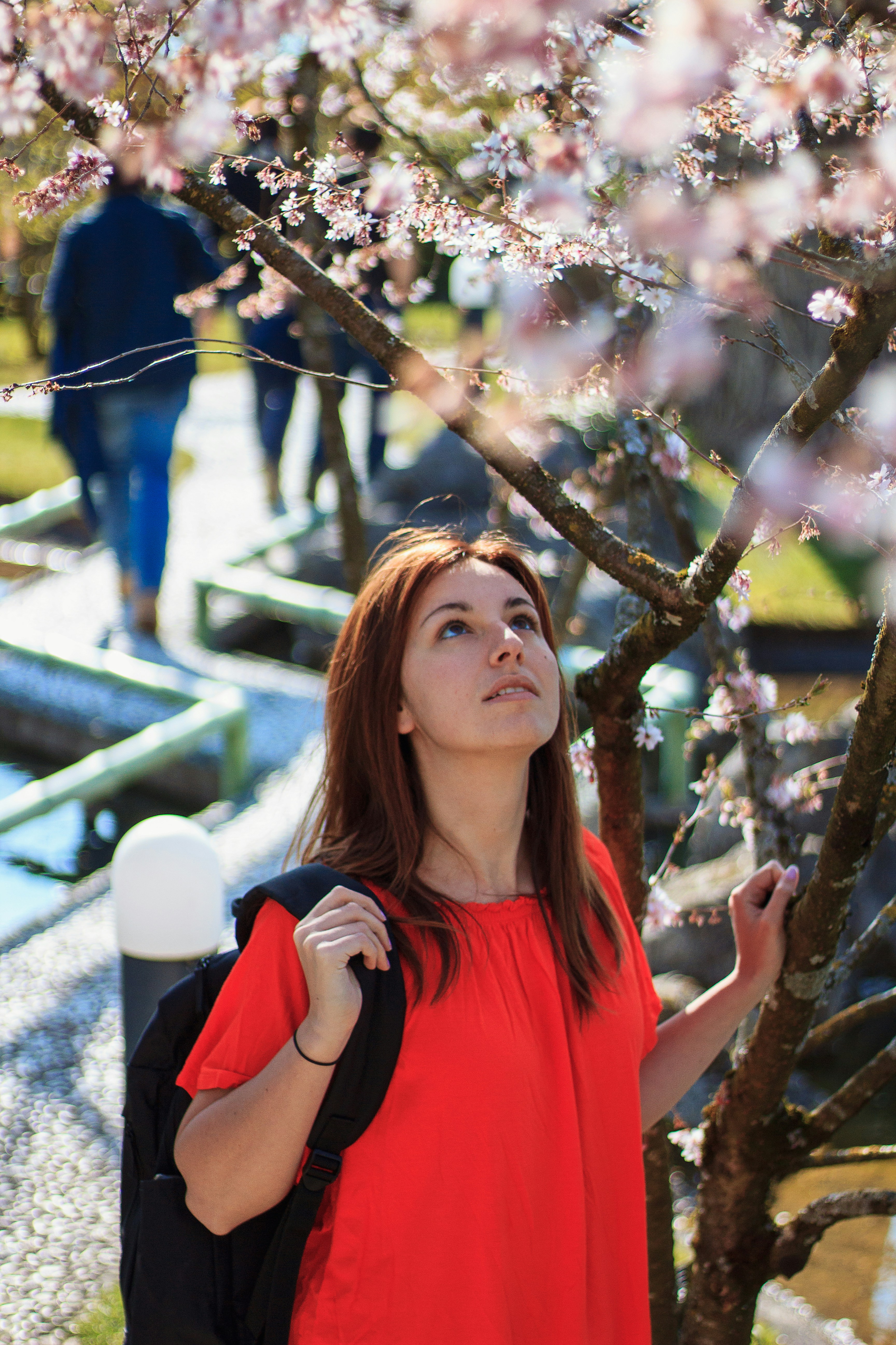 Photo by sushimi